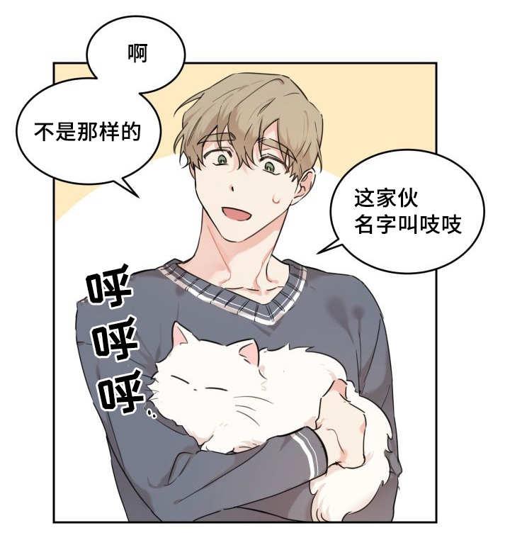 咻咻漫画韩漫全集-27_新的猫咪无删减无遮挡章节图片 