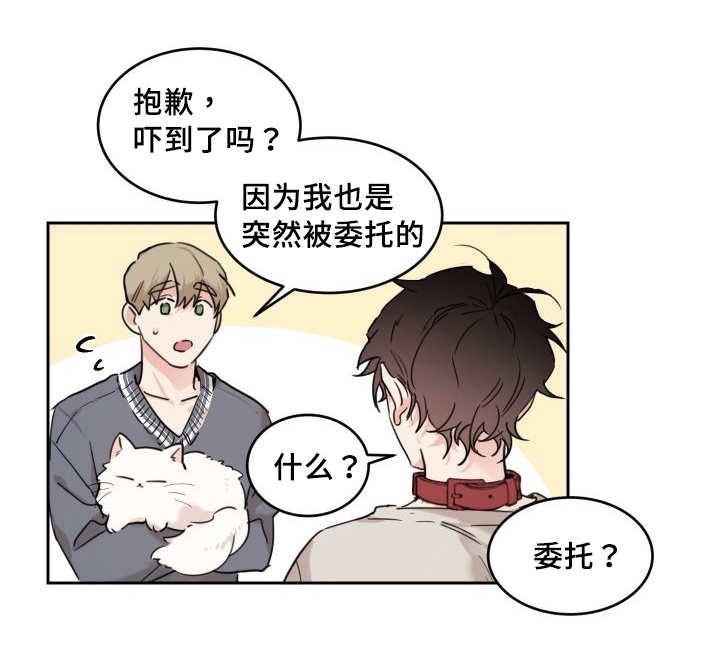 咻咻漫画韩漫全集-27_新的猫咪无删减无遮挡章节图片 