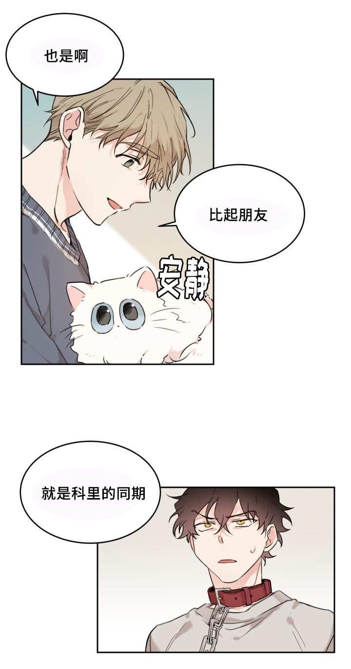 咻咻漫画韩漫全集-27_新的猫咪无删减无遮挡章节图片 