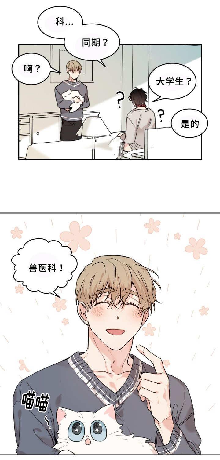 咻咻漫画韩漫全集-27_新的猫咪无删减无遮挡章节图片 