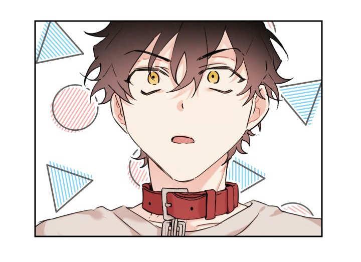 咻咻漫画韩漫全集-27_新的猫咪无删减无遮挡章节图片 