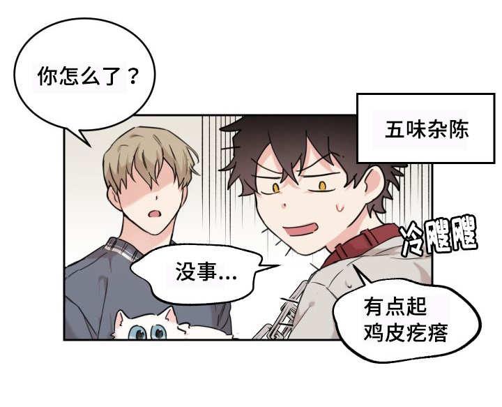 咻咻漫画韩漫全集-27_新的猫咪无删减无遮挡章节图片 