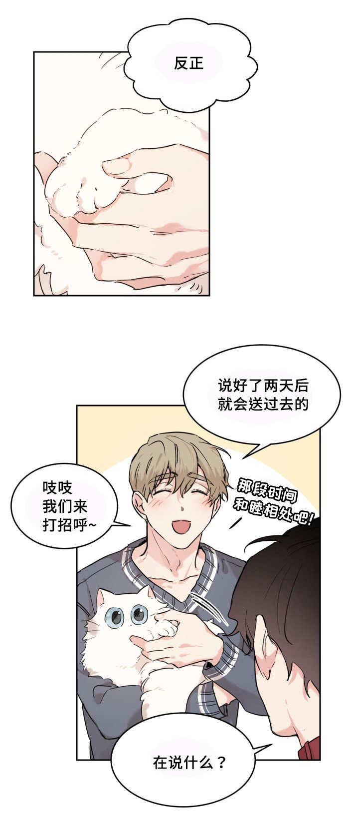 咻咻漫画韩漫全集-27_新的猫咪无删减无遮挡章节图片 