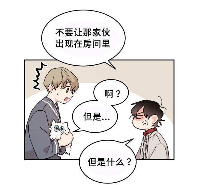 咻咻漫画韩漫全集-27_新的猫咪无删减无遮挡章节图片 
