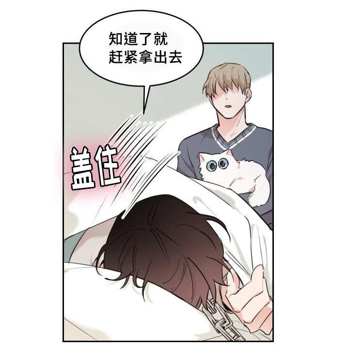 咻咻漫画韩漫全集-27_新的猫咪无删减无遮挡章节图片 