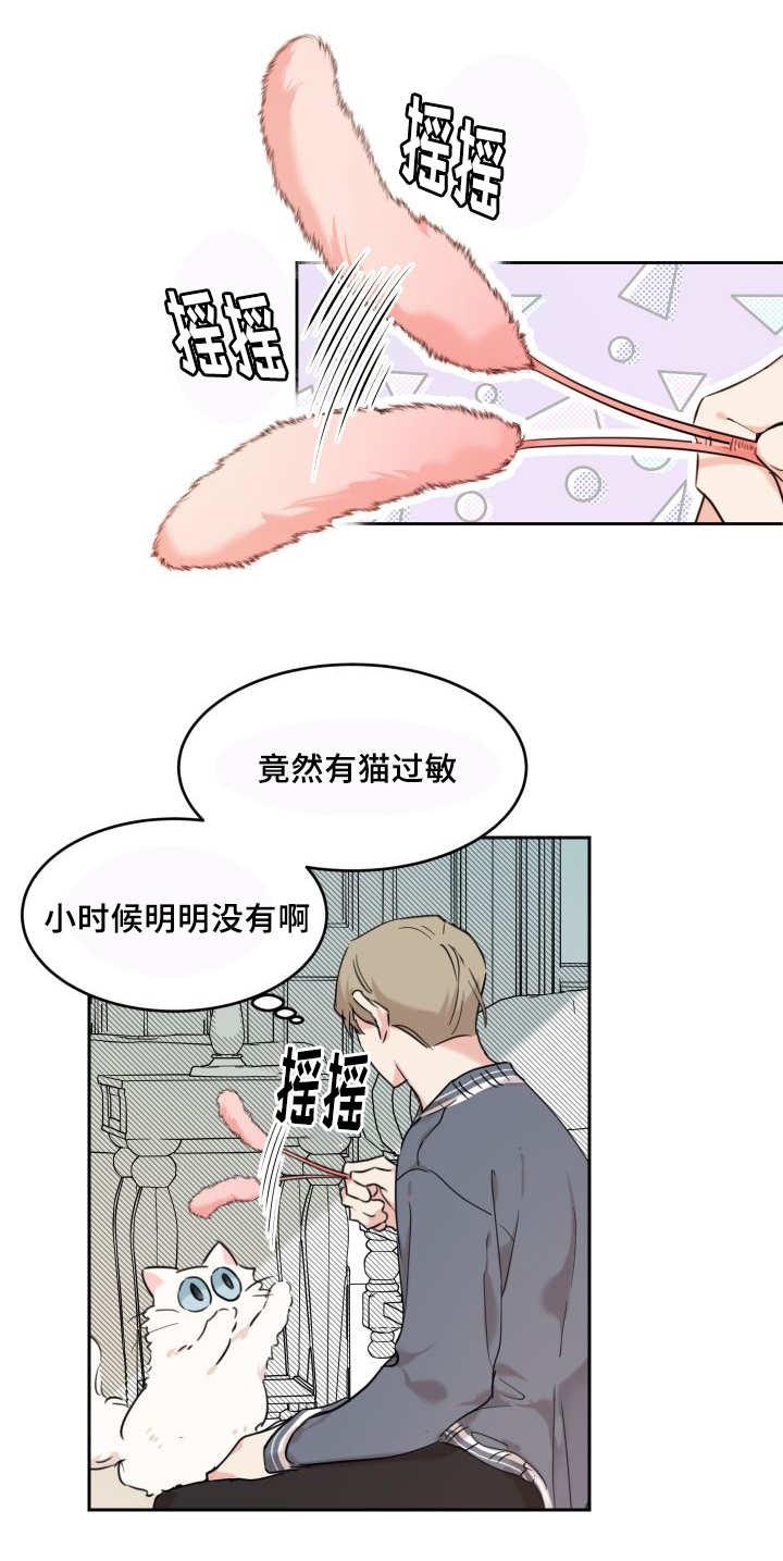 咻咻漫画韩漫全集-27_新的猫咪无删减无遮挡章节图片 