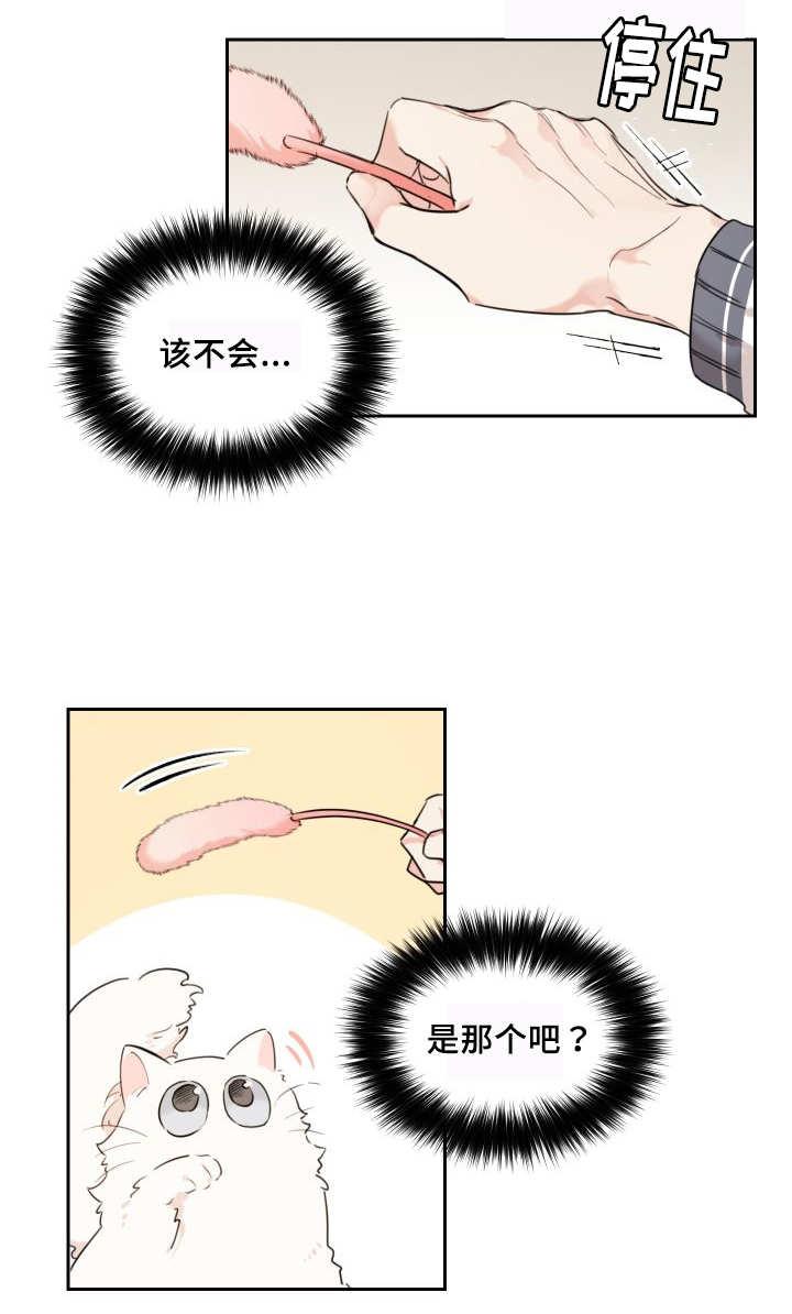 咻咻漫画韩漫全集-27_新的猫咪无删减无遮挡章节图片 