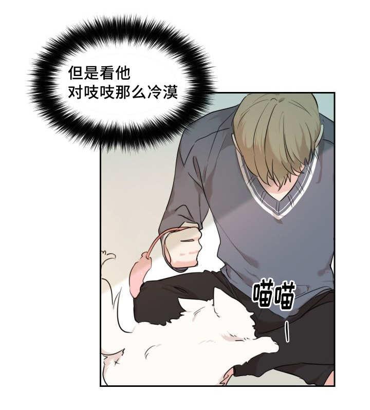 咻咻漫画韩漫全集-27_新的猫咪无删减无遮挡章节图片 