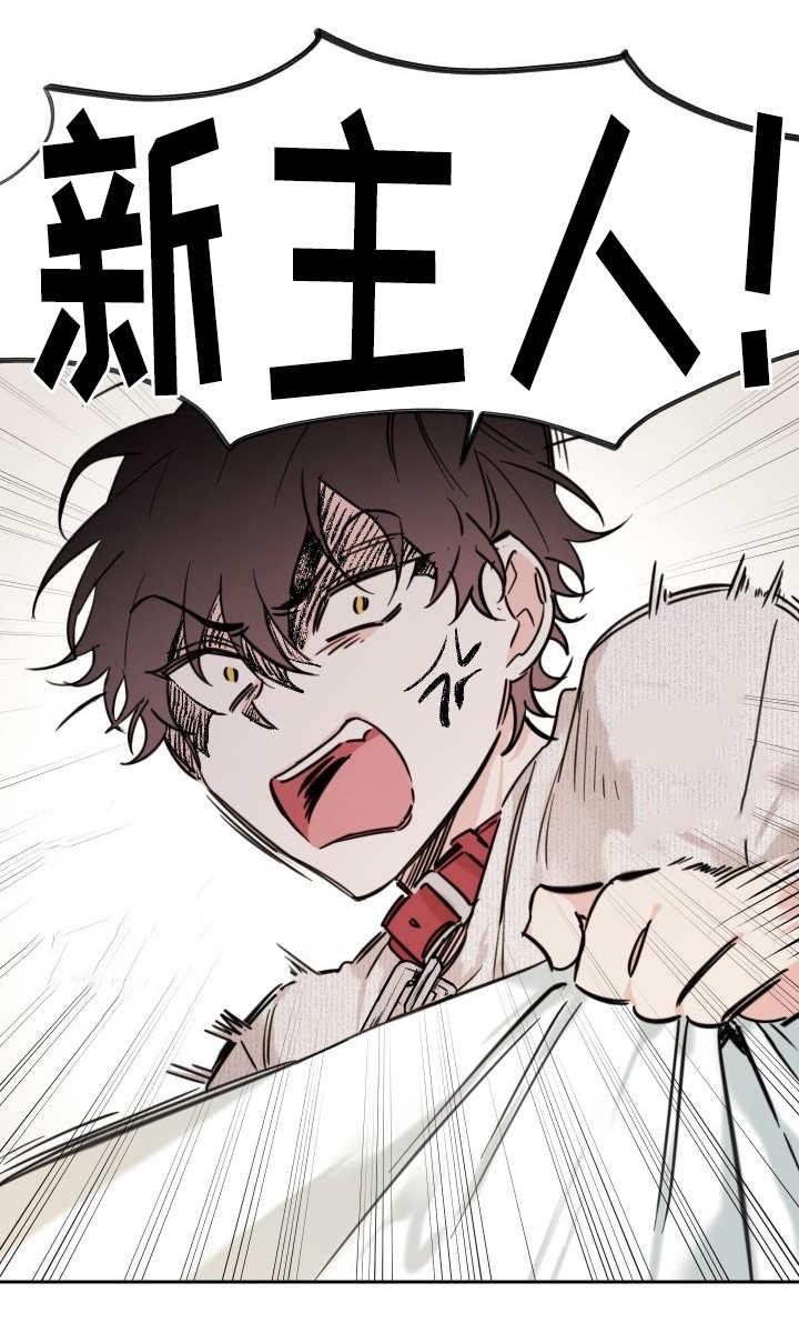咻咻漫画韩漫全集-28_生气了吗无删减无遮挡章节图片 