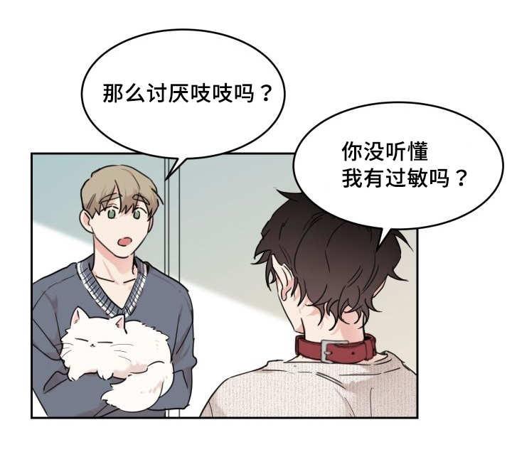 咻咻漫画韩漫全集-28_生气了吗无删减无遮挡章节图片 