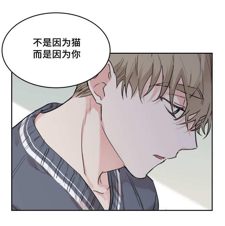 咻咻漫画韩漫全集-28_生气了吗无删减无遮挡章节图片 