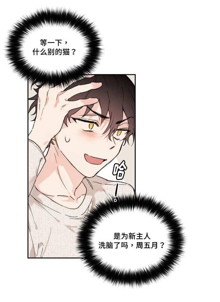 咻咻漫画韩漫全集-30_我能走了吗无删减无遮挡章节图片 