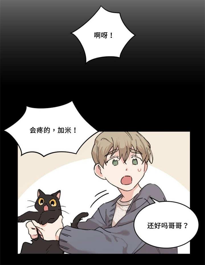 咻咻漫画韩漫全集-30_我能走了吗无删减无遮挡章节图片 
