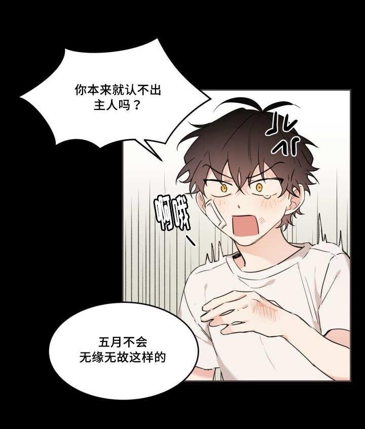 咻咻漫画韩漫全集-30_我能走了吗无删减无遮挡章节图片 