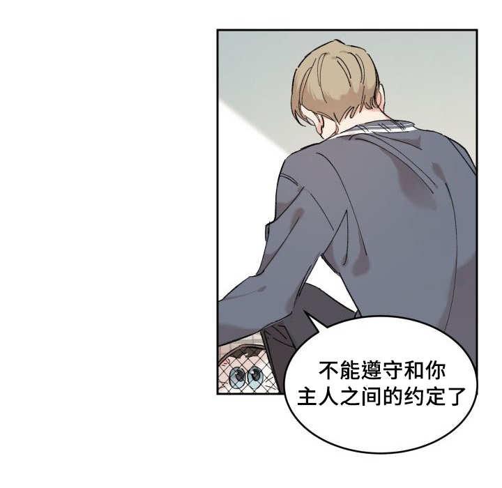 咻咻漫画韩漫全集-30_我能走了吗无删减无遮挡章节图片 