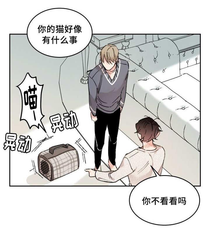 咻咻漫画韩漫全集-30_我能走了吗无删减无遮挡章节图片 
