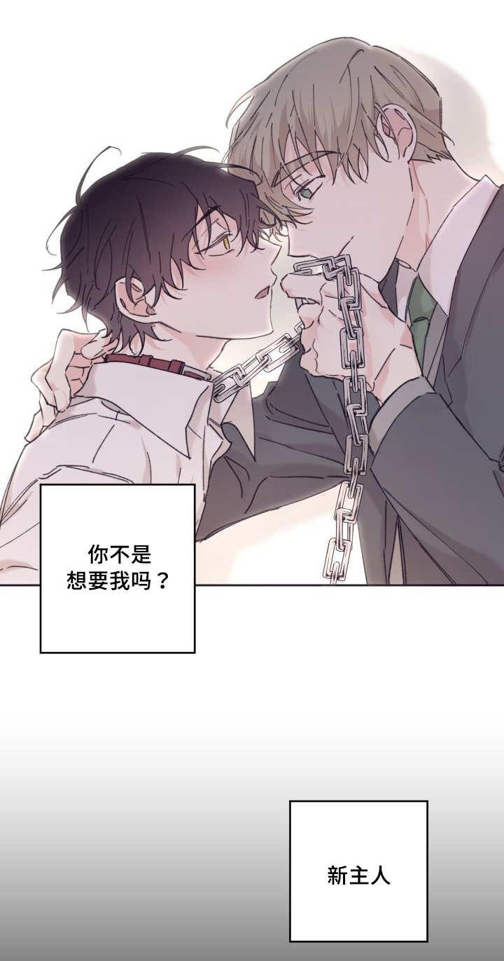 咻咻漫画韩漫全集-31_爱情的原因无删减无遮挡章节图片 