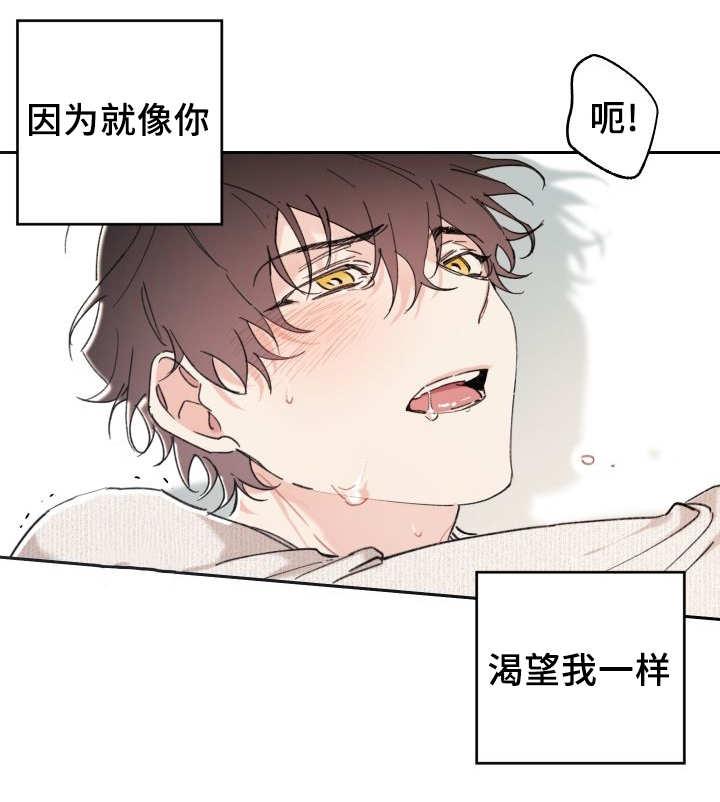 咻咻漫画韩漫全集-33_我来爱你无删减无遮挡章节图片 