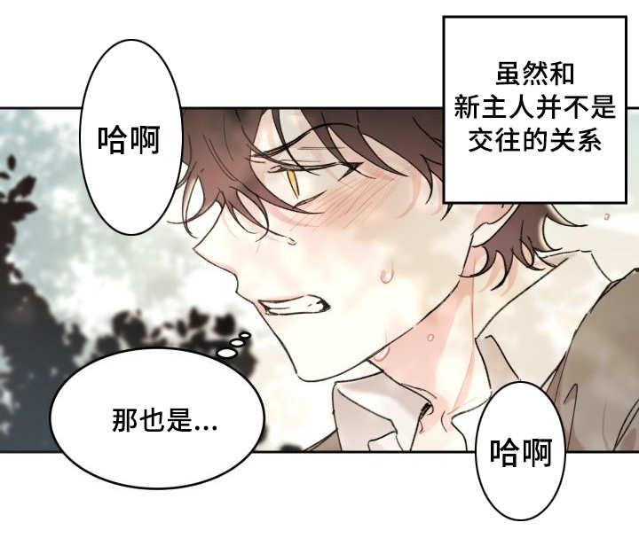 咻咻漫画韩漫全集-34_搞错了什么无删减无遮挡章节图片 