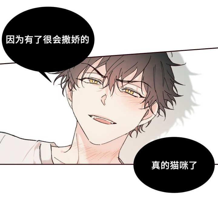 咻咻漫画韩漫全集-34_搞错了什么无删减无遮挡章节图片 