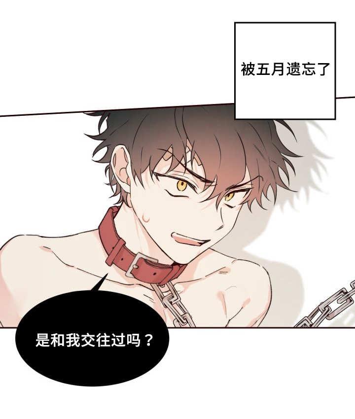 咻咻漫画韩漫全集-34_搞错了什么无删减无遮挡章节图片 