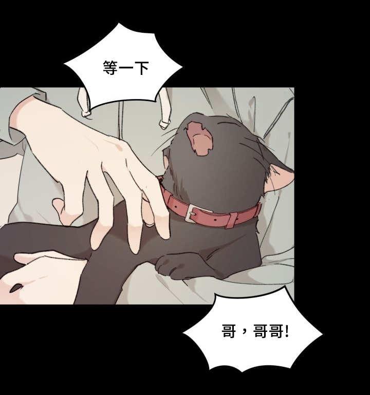 咻咻漫画韩漫全集-34_搞错了什么无删减无遮挡章节图片 