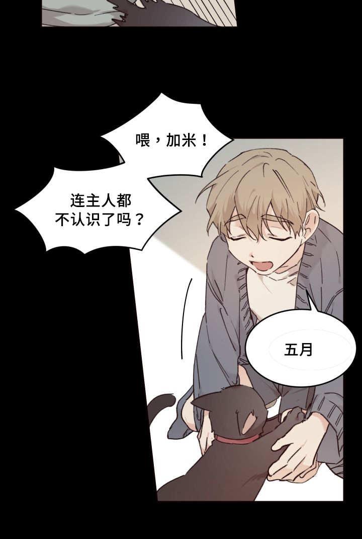 咻咻漫画韩漫全集-34_搞错了什么无删减无遮挡章节图片 