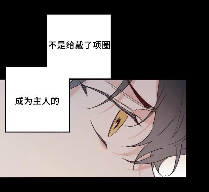 咻咻漫画韩漫全集-34_搞错了什么无删减无遮挡章节图片 