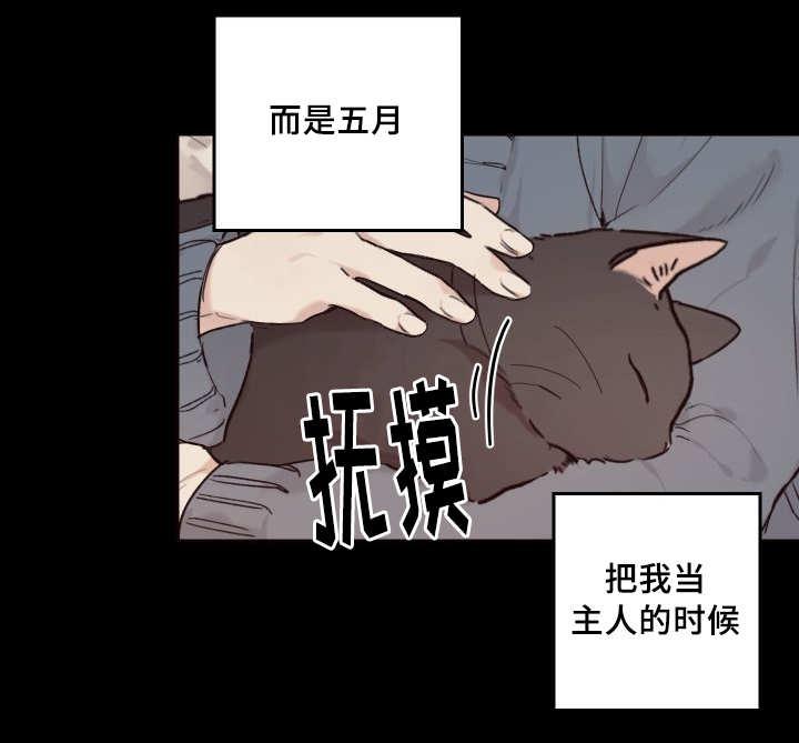 咻咻漫画韩漫全集-35_被谁抢走了无删减无遮挡章节图片 