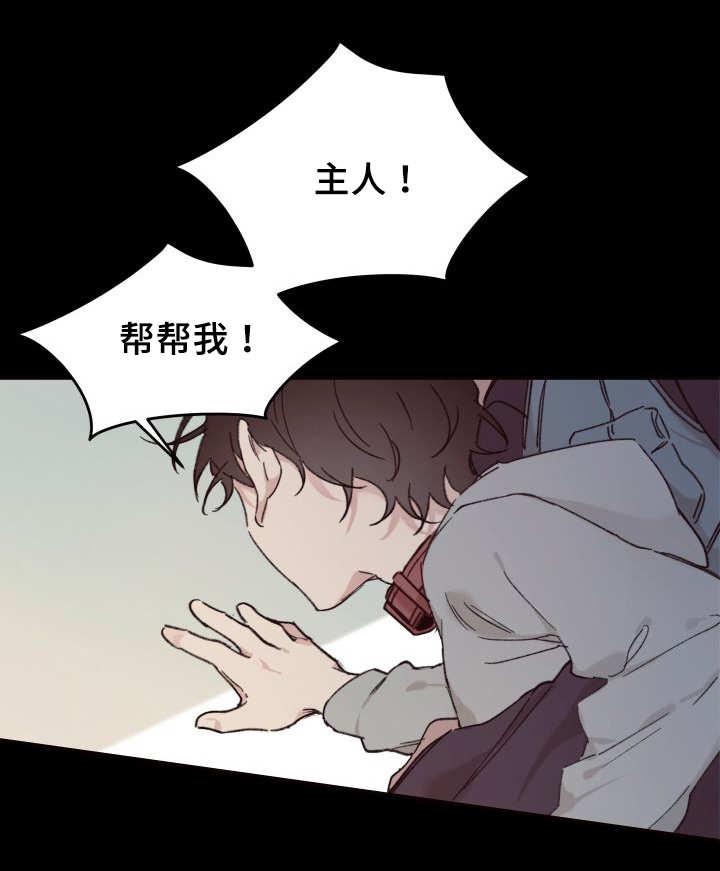 咻咻漫画韩漫全集-35_被谁抢走了无删减无遮挡章节图片 