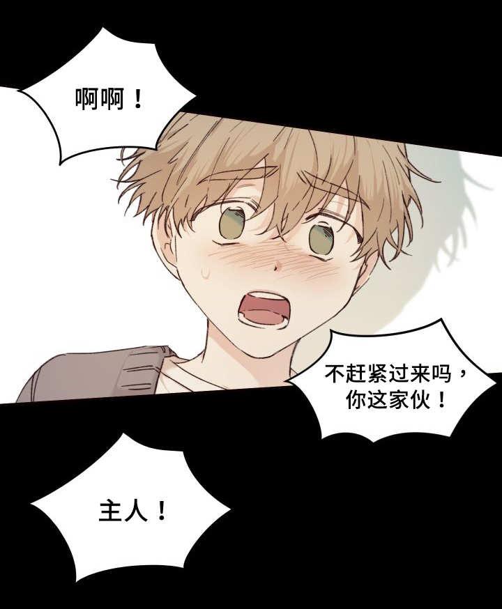 咻咻漫画韩漫全集-35_被谁抢走了无删减无遮挡章节图片 