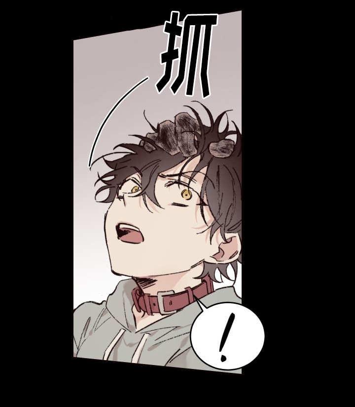 咻咻漫画韩漫全集-35_被谁抢走了无删减无遮挡章节图片 