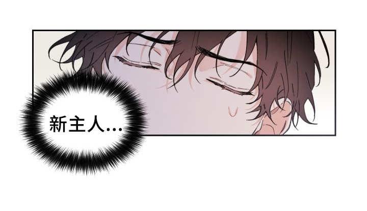 咻咻漫画韩漫全集-43_小心一点无删减无遮挡章节图片 