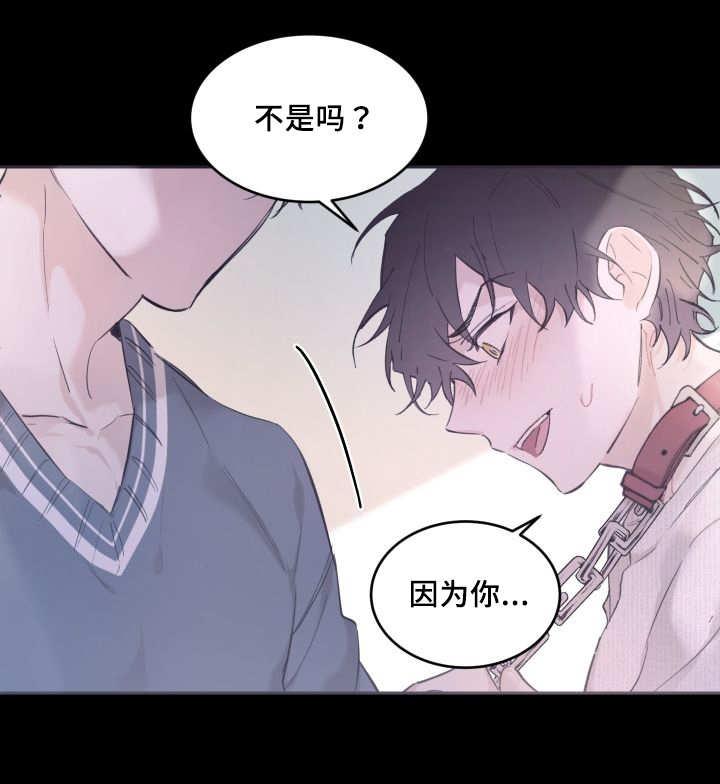 咻咻漫画韩漫全集-44_陷入爱情无删减无遮挡章节图片 