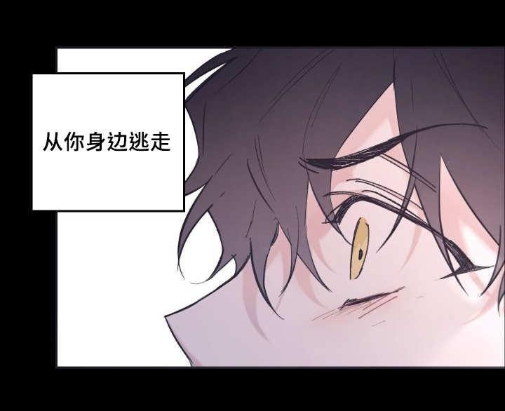 咻咻漫画韩漫全集-44_陷入爱情无删减无遮挡章节图片 