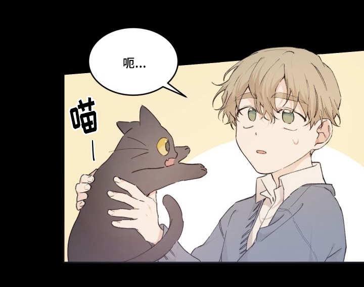 咻咻漫画韩漫全集-45_你的爱人无删减无遮挡章节图片 