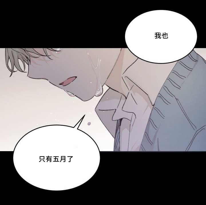 咻咻漫画韩漫全集-45_你的爱人无删减无遮挡章节图片 