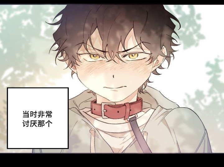咻咻漫画韩漫全集-47_到底是谁无删减无遮挡章节图片 