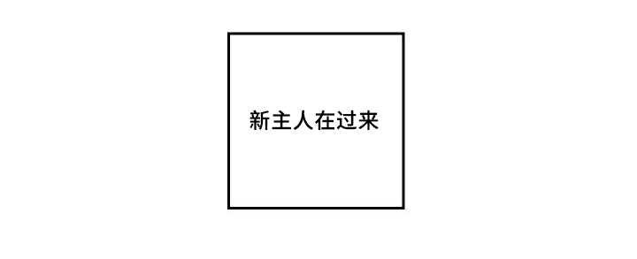 咻咻漫画韩漫全集-48_想要见他无删减无遮挡章节图片 