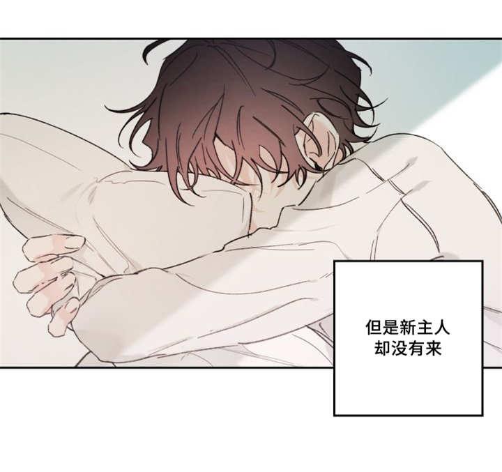 咻咻漫画韩漫全集-48_想要见他无删减无遮挡章节图片 