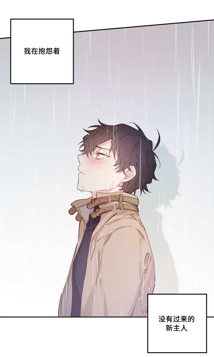 咻咻漫画韩漫全集-49_没来找我无删减无遮挡章节图片 