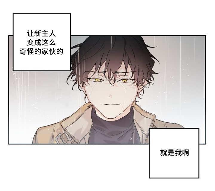 咻咻漫画韩漫全集-49_没来找我无删减无遮挡章节图片 