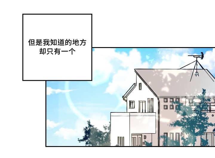 咻咻漫画韩漫全集-50_大结局无删减无遮挡章节图片 