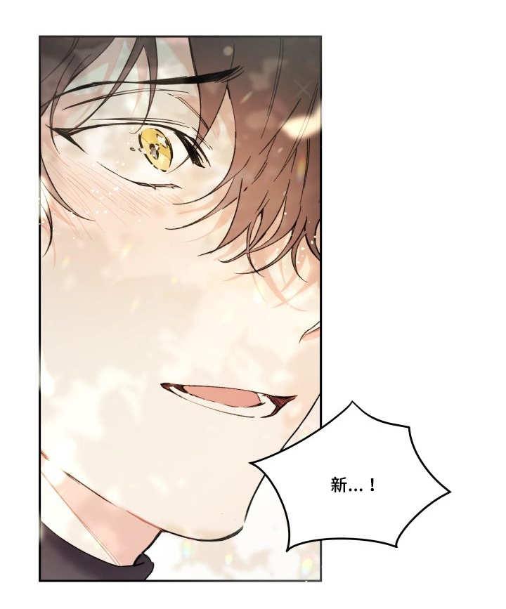 咻咻漫画韩漫全集-50_大结局无删减无遮挡章节图片 
