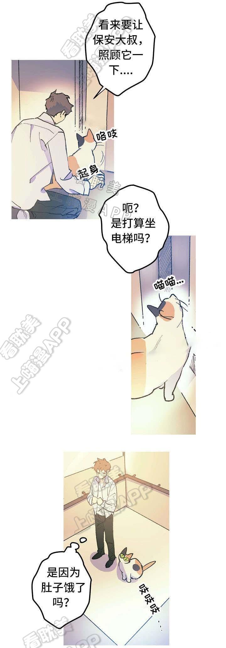 极度恐慌漫画韩漫全集-第12话无删减无遮挡章节图片 