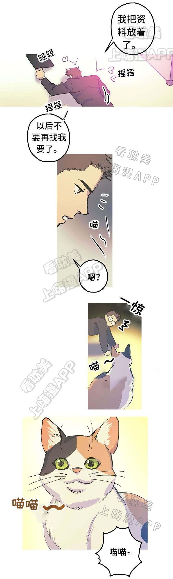 极度恐慌漫画韩漫全集-第13话无删减无遮挡章节图片 