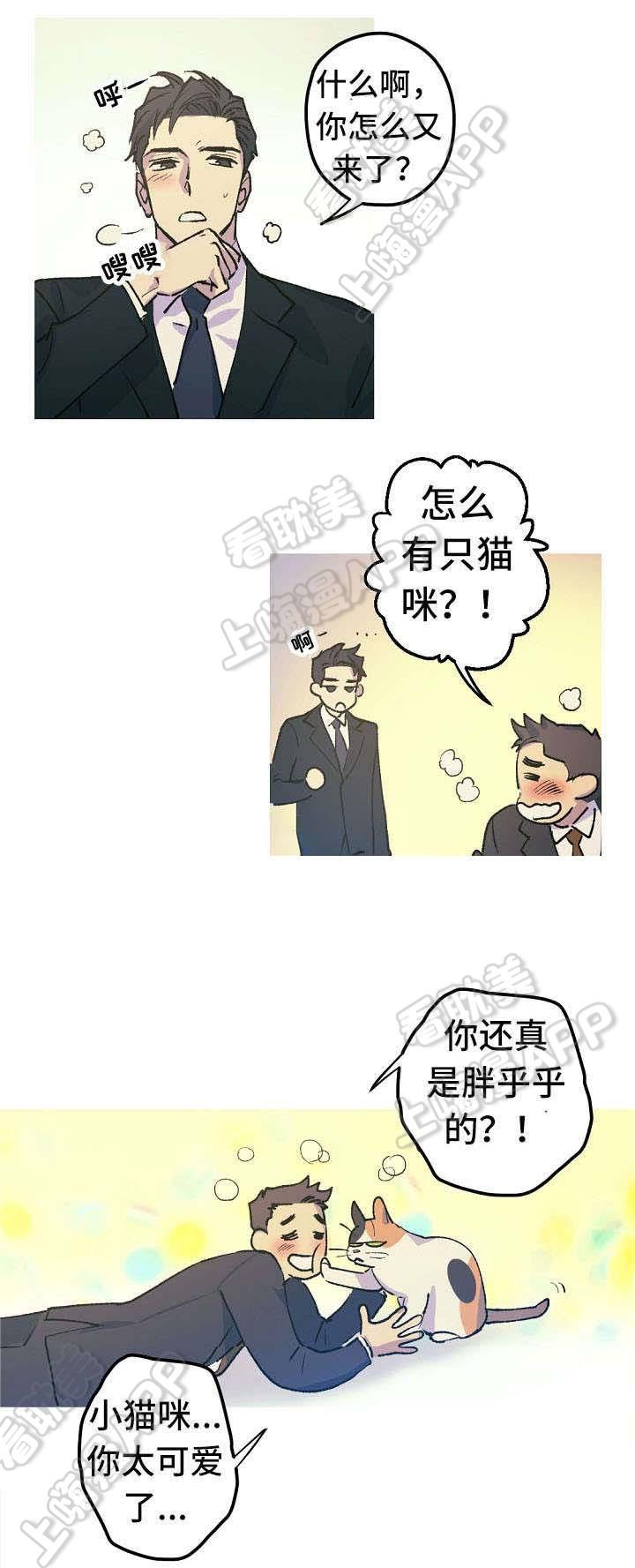 极度恐慌漫画韩漫全集-第13话无删减无遮挡章节图片 