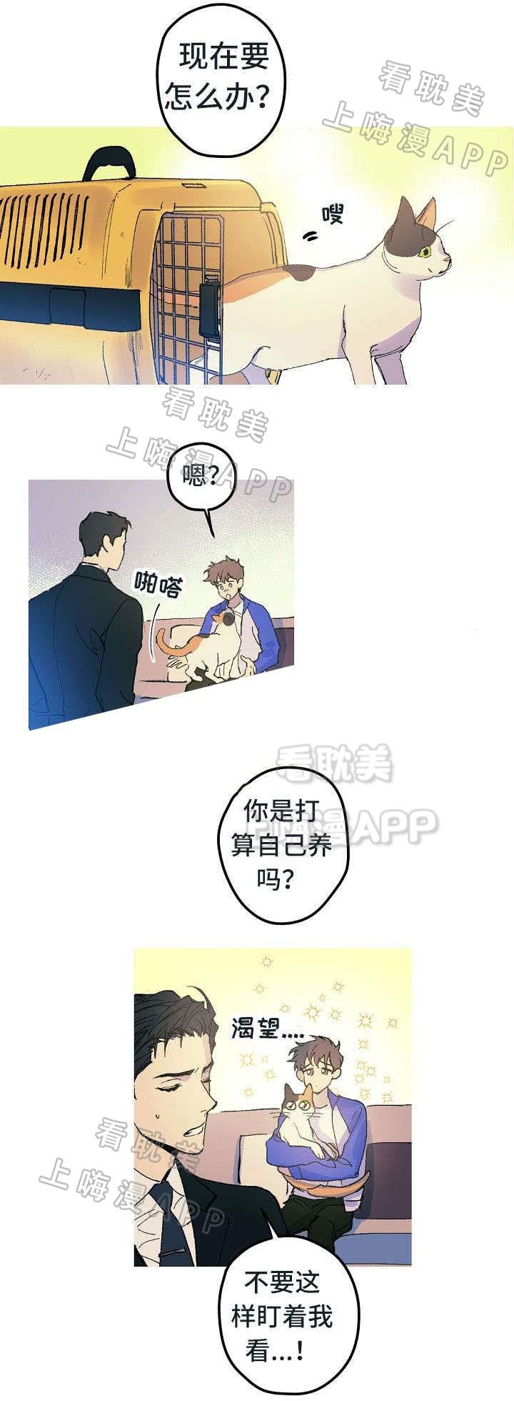 极度恐慌漫画韩漫全集-第13话无删减无遮挡章节图片 