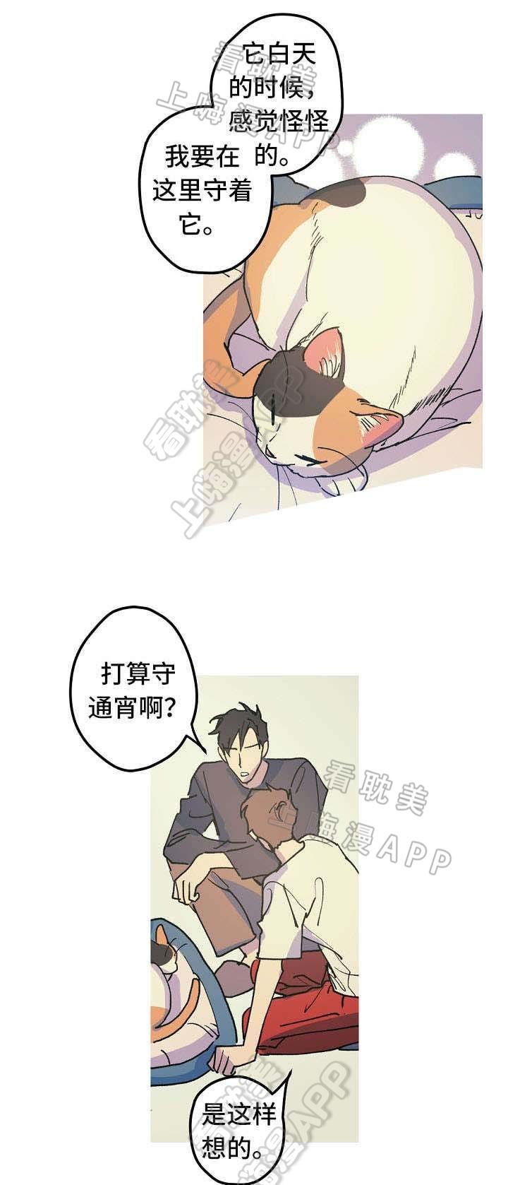 极度恐慌漫画韩漫全集-第17话无删减无遮挡章节图片 