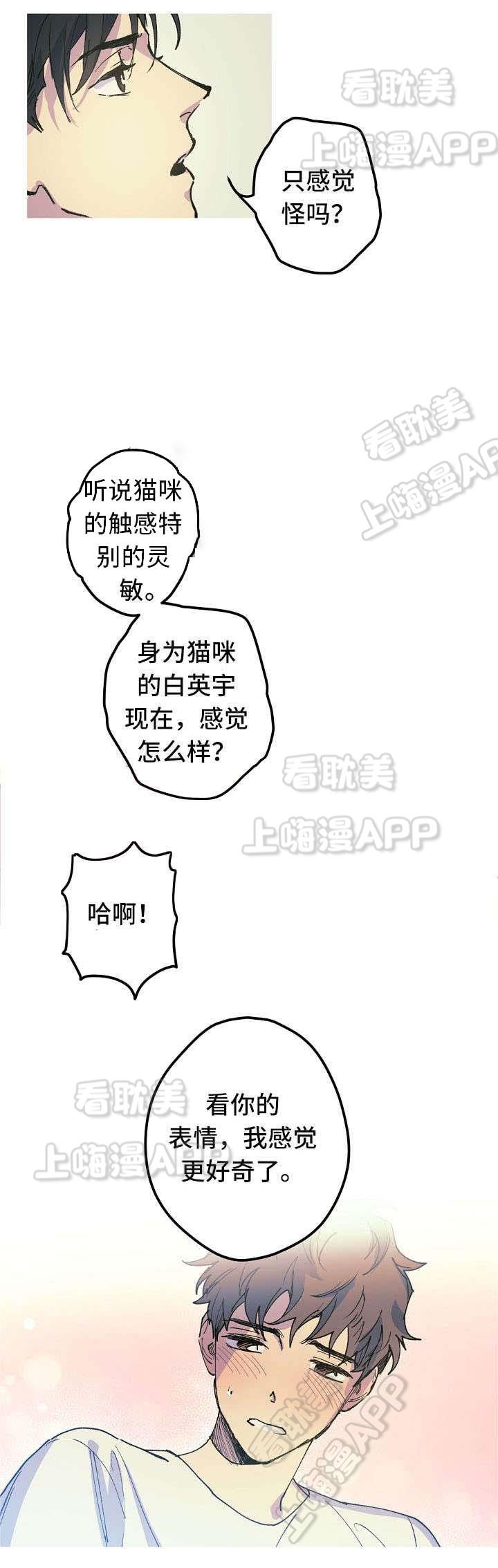 极度恐慌漫画韩漫全集-第17话无删减无遮挡章节图片 
